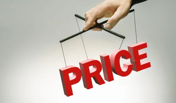 Nambiar Bannerghatta Villas Price